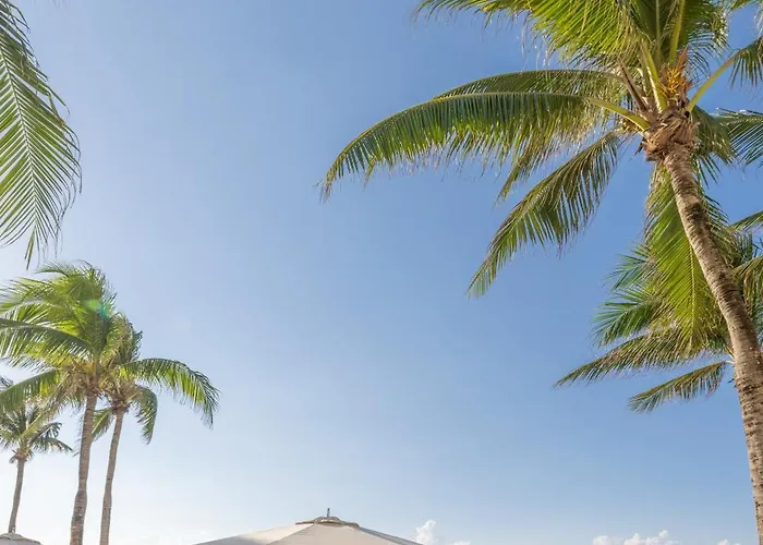 Palace 5* Cozumel